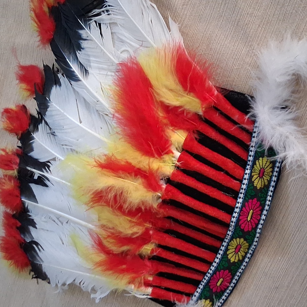 Colorful Feather Headdress - Picture 2 of 5